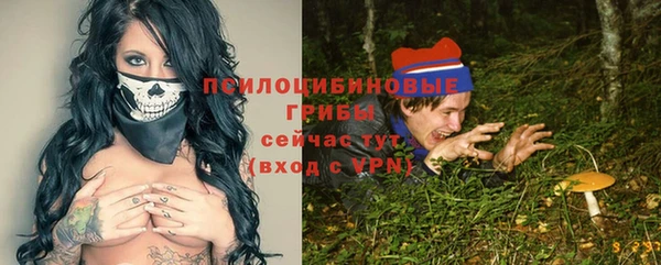 ПСИЛОЦИБИНОВЫЕ ГРИБЫ Белокуриха