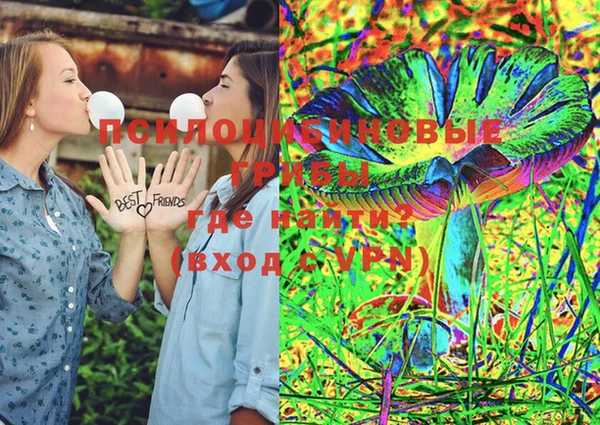 ПСИЛОЦИБИНОВЫЕ ГРИБЫ Белокуриха
