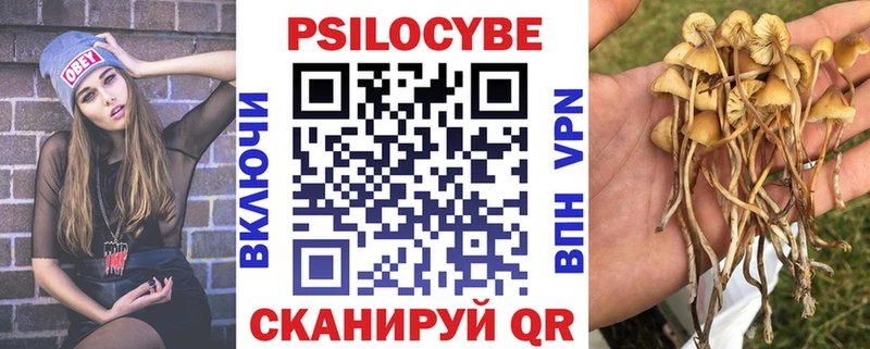 закладки Бирск площадка Telegram Псилоцибиновые грибы прущие грибы